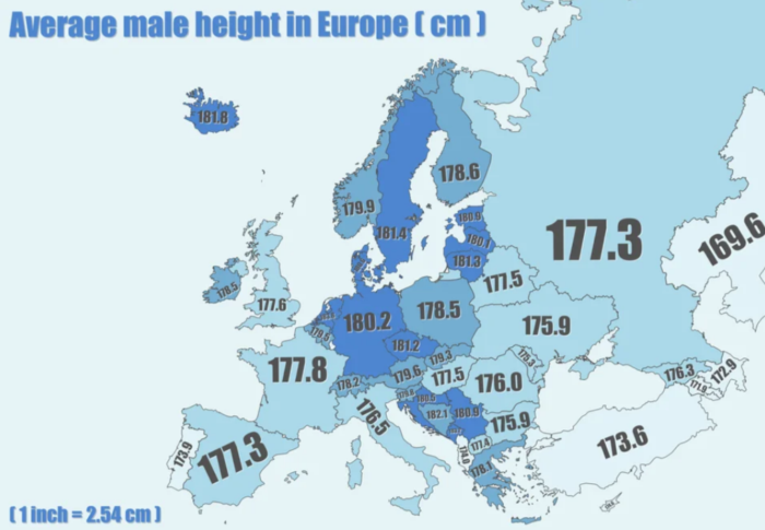 Средний рост мужчин в Европе