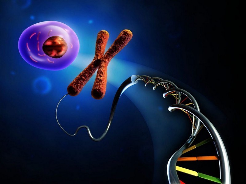 Интересные факты о ДНК и её значении в жизни человека