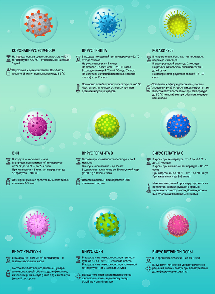 Как долго живут вирусы вне организма