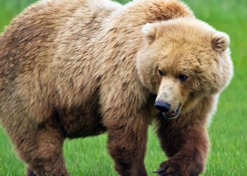 Рыбалочка в тот день вышла не особо классная…