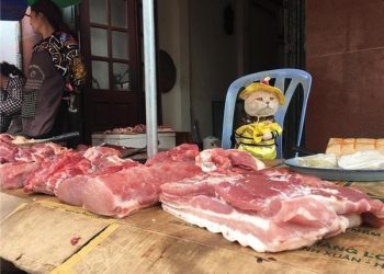 Самый очаровательный продавец рыбы,который покорит ваше сердце (12 фото)