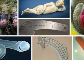 16 вещей, при виде которых есть только один вопрос: это что такое вообще?