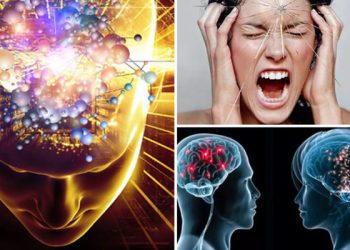 Всё ли вы знаете о мозге?