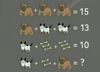 В Фейсбуке разгорается спор из-за хитрой головоломки