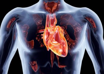 15 невероятных вещей, которые человеческое тело делает каждую минуту