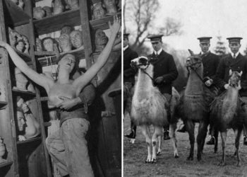 Экскурс в прошлое (16 исторических фото)