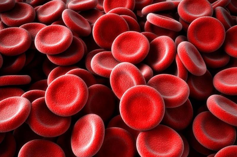 10 занимательных фактов о крови