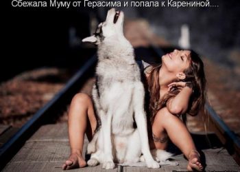 Забавные животные (50 фото)