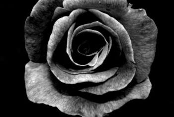 Черно-белая фотография — искусство!