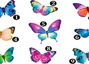 Гадание по картинке: что ждет вас в 2018 году