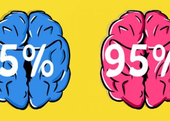Шесть задач для проверки мозга