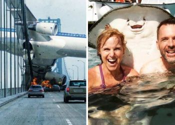 17 невероятных фото, авторы которых поймали нужный момент!