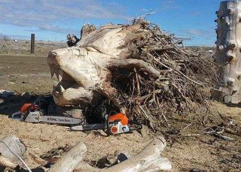 Крутые фото (32 фото)