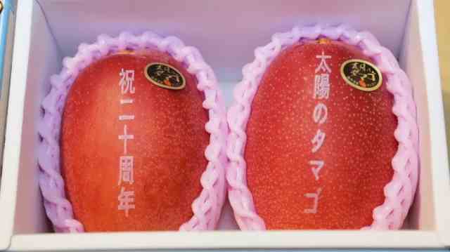 Сколько может стоить манго класса "Премиум" в Японии 