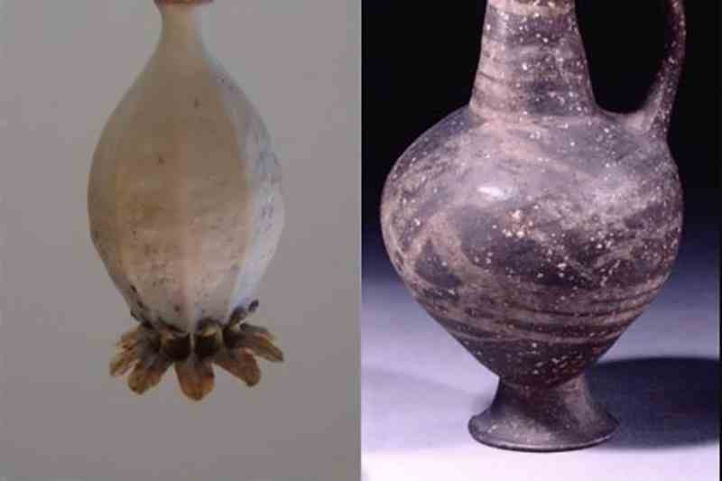 В древнем кувшине Кипра нашли следы опиоидов