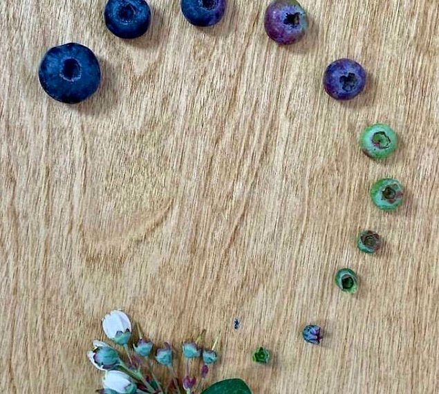 25 сравнений, которые заставят вас взглянуть вас на некоторые вещи по-новому (Часть 2)