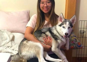 Невидящая хаски не может сдержать своей радости в момент, когда первый раз в году бежит по пушистому снегу ❄️