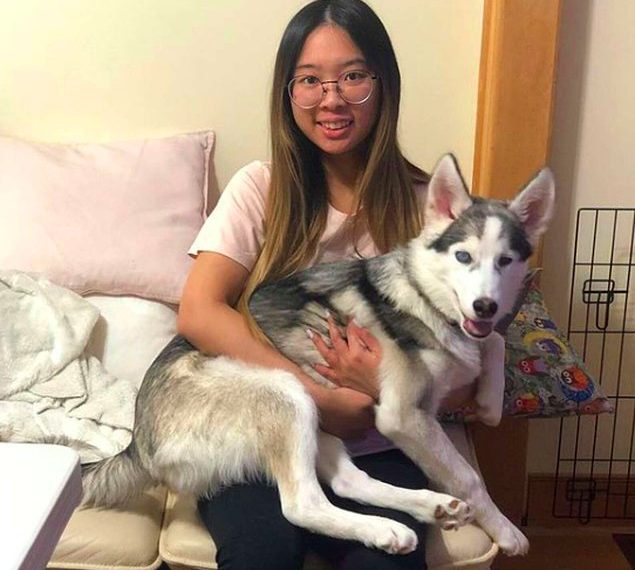 Невидящая хаски не может сдержать своей радости в момент, когда первый раз в году бежит по пушистому снегу ❄️